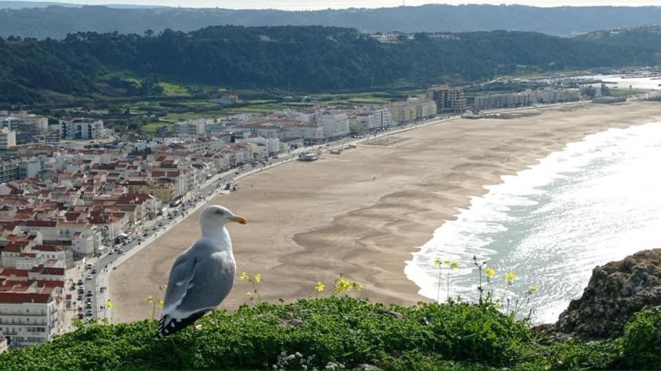 West Coast Dream Nazare Villa Екстериор снимка